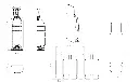SBT-035.webp