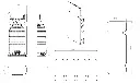 SBT-075.webp
